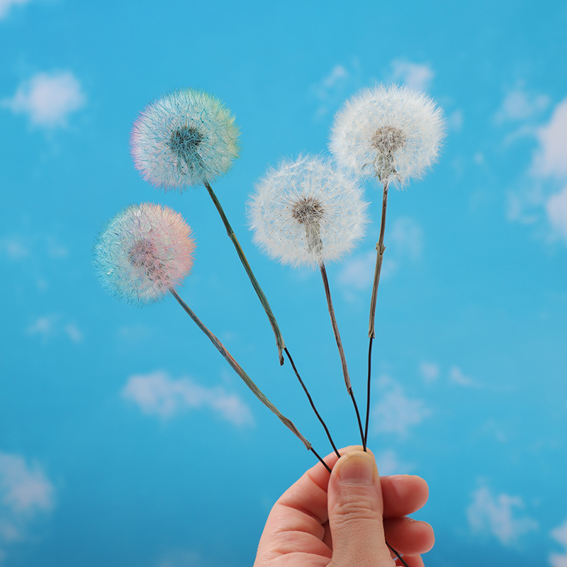 ชุดงานฝีมือเรซินอีพ็อกซี่ DIY  - Resin Crafts Diy บทวิจารณ์และราคา